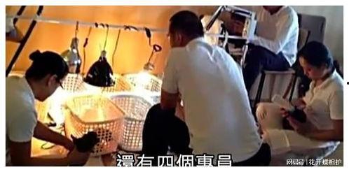 娱乐圈吃瓜的真实故事,揭秘那些被隐藏的真实吃瓜故事